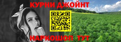 гидра Кандалакша