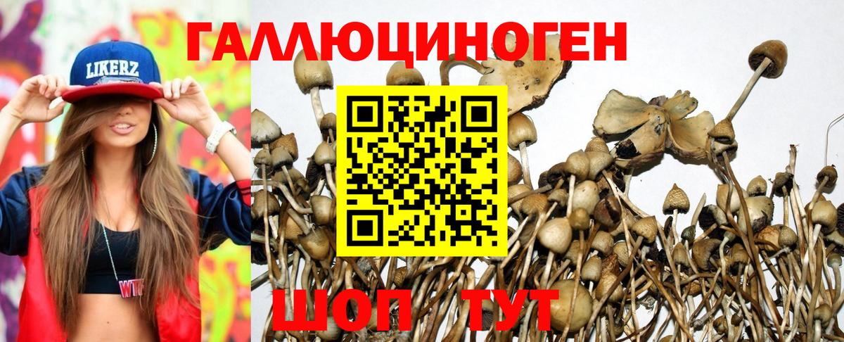 Галлюциногенные грибы прущие грибы  Вход с VPN  Благовещенск 